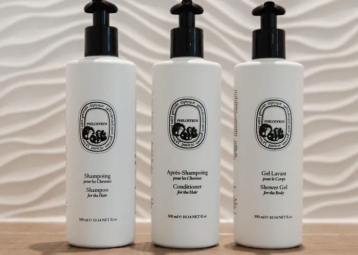 Dupond-smith 5* Parigi